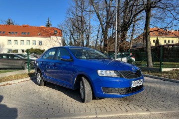 Salon Polska, 1 właściciel