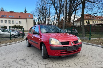 Zadbane, Idealne do Miasta